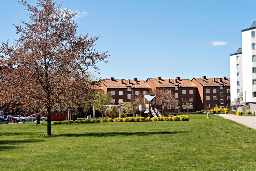Föreningens område 