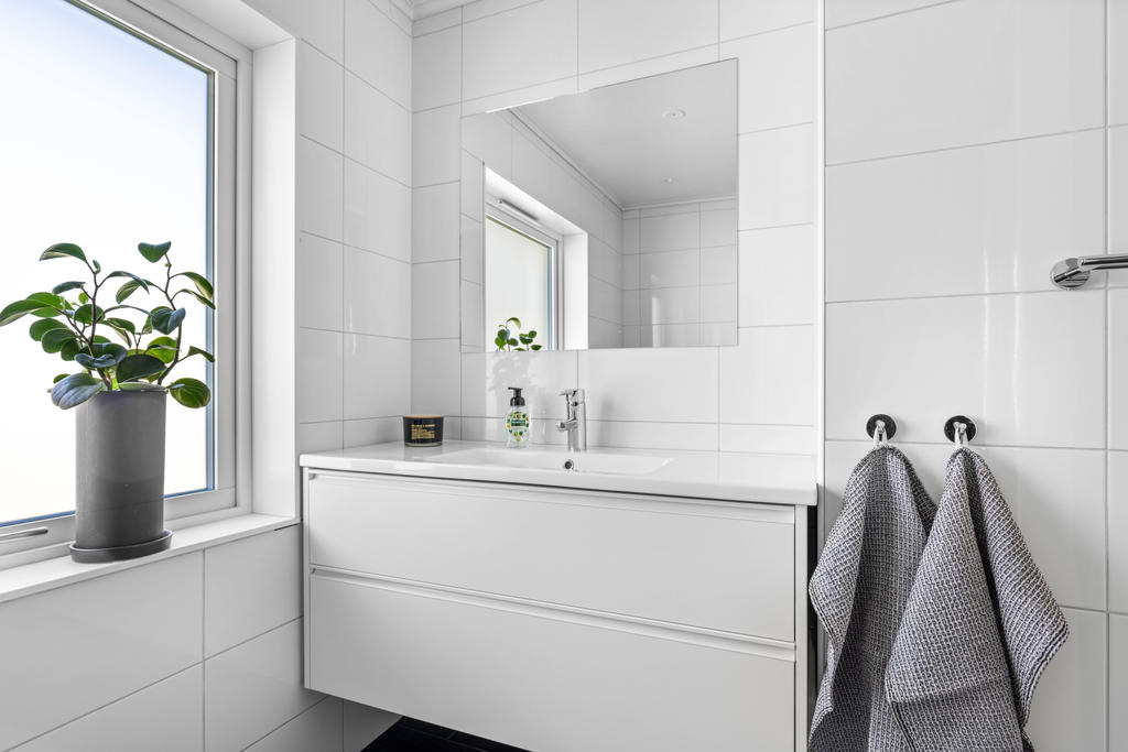 Duschrum med handfar, wc och dusch