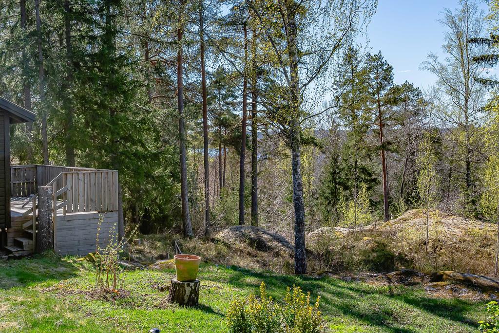 Sjöglitter mellan träden