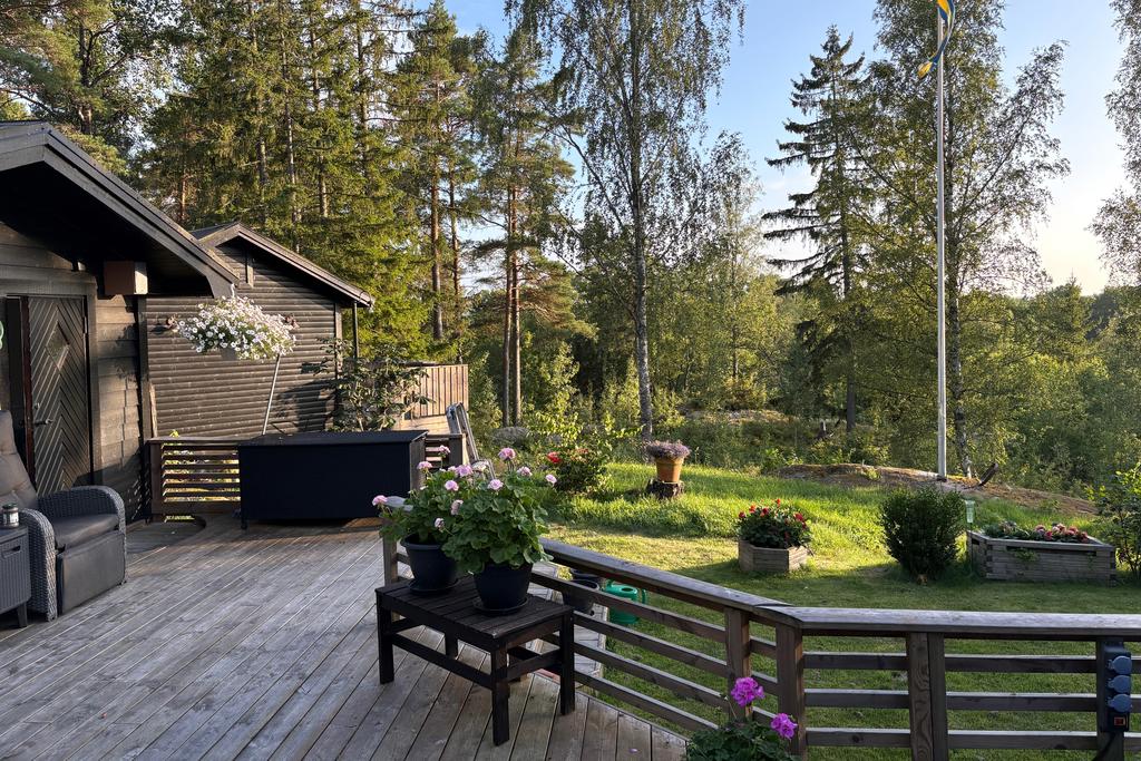 Ägarens sommarbild