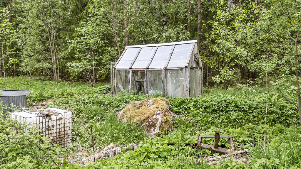 Växthus