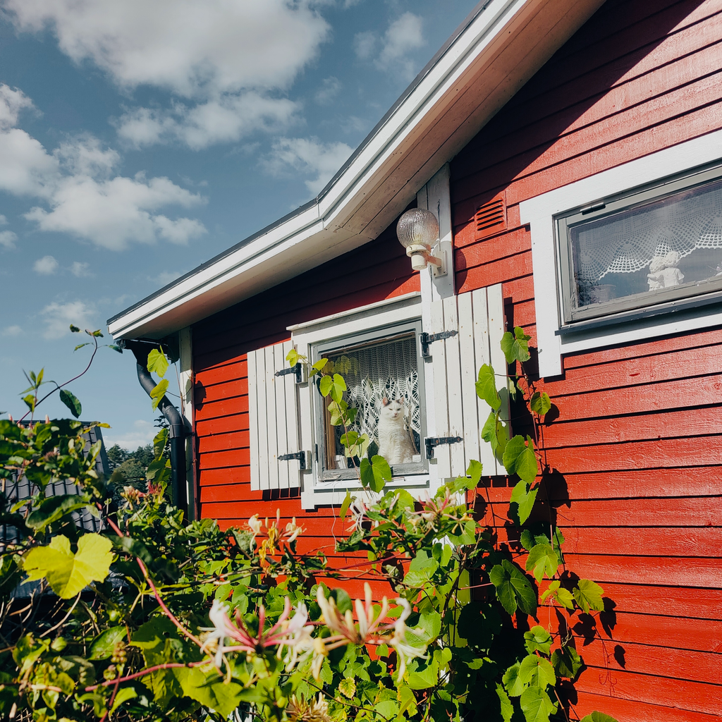 Säljarens privata sommarbilder