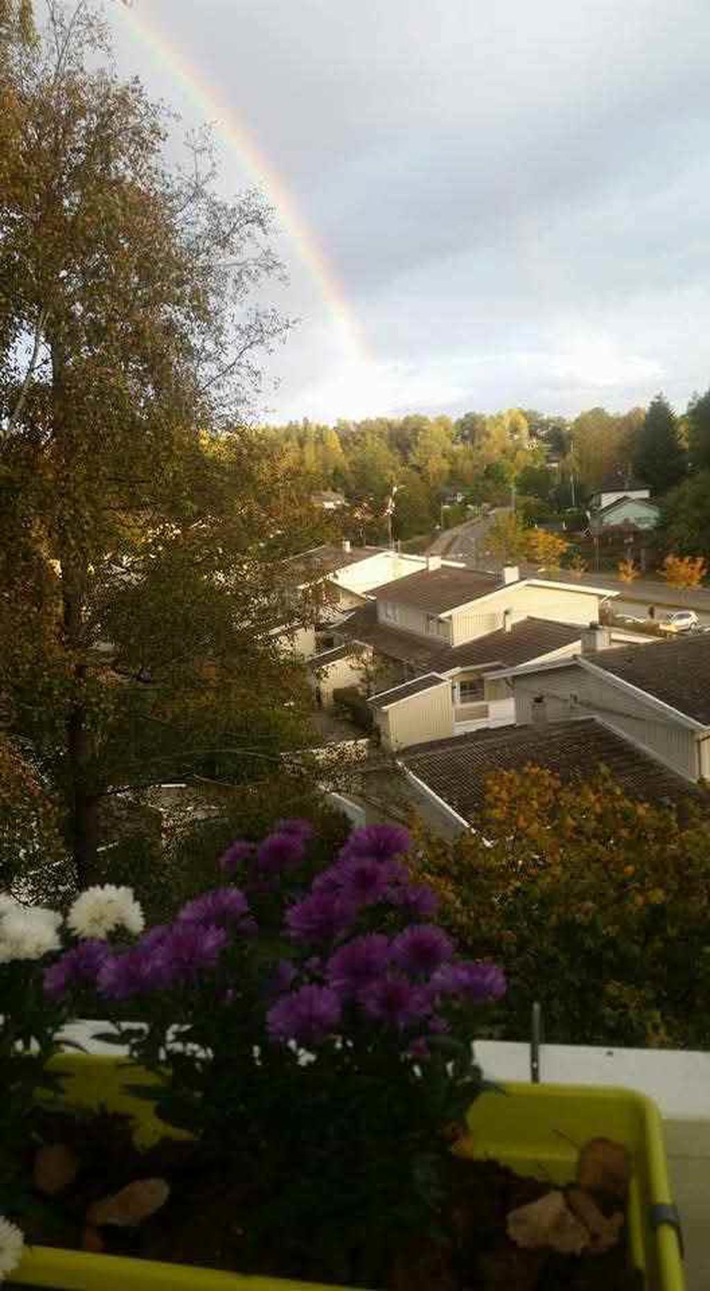 Säljarens bild