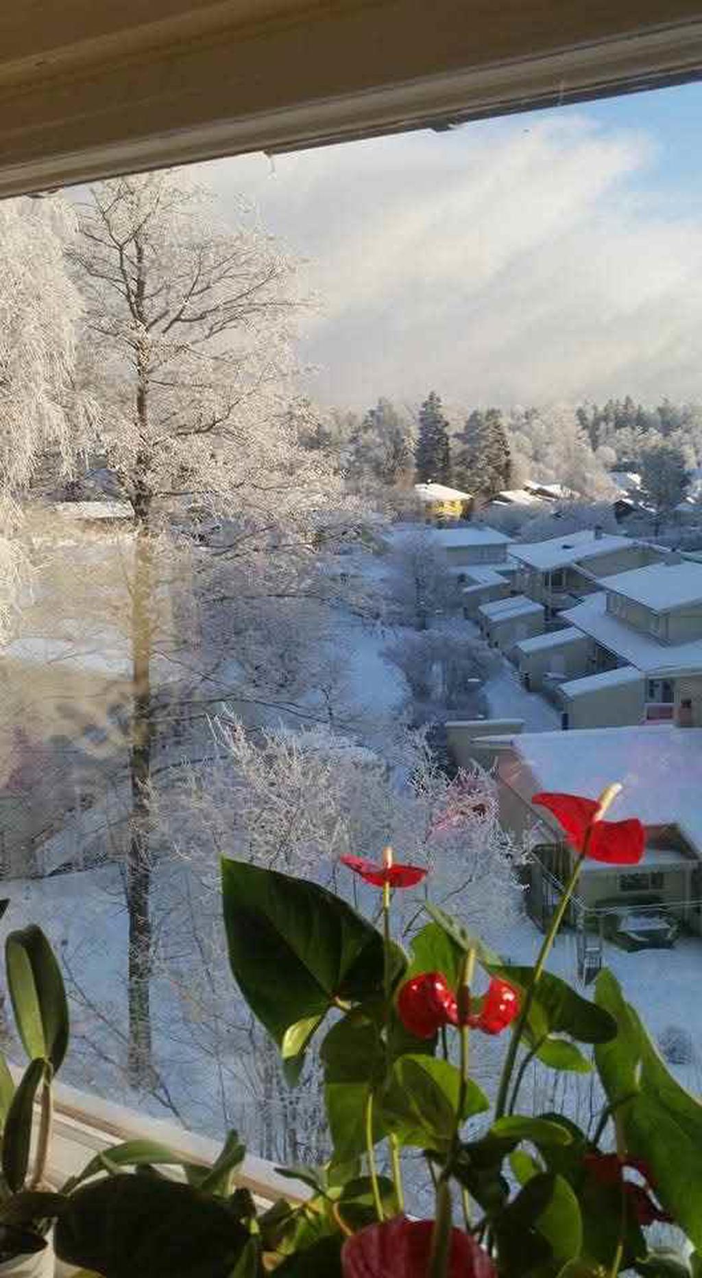 Säljarens bild