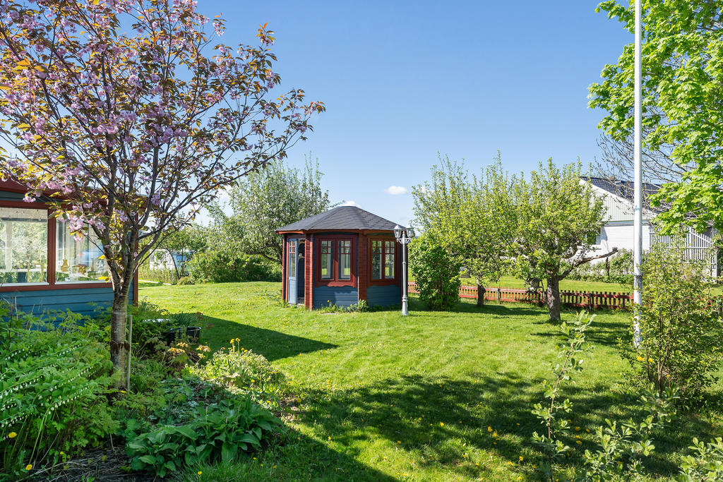 Trädgård