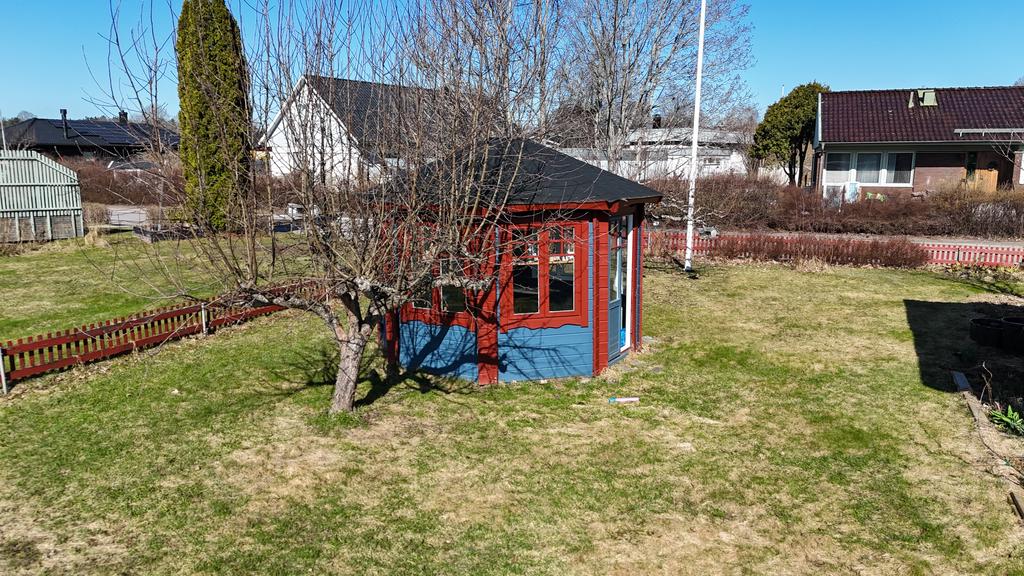 Trädgård