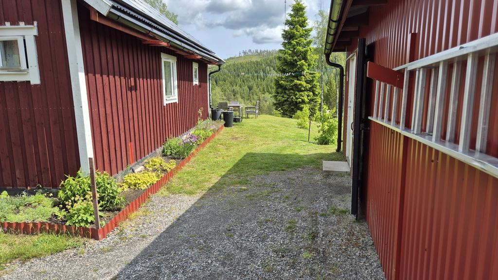 Säljarens egna bild