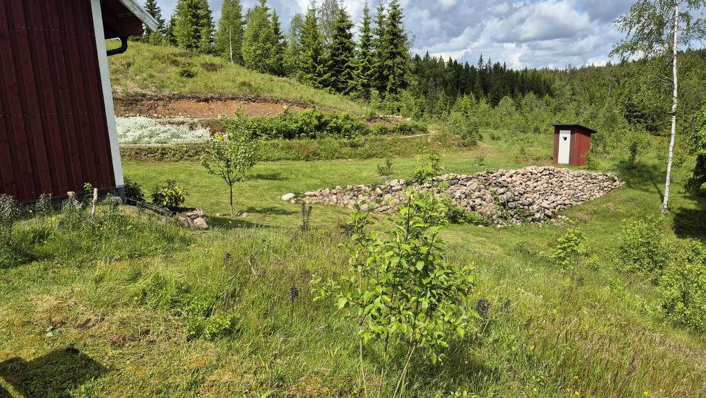 Säljarens egna bild