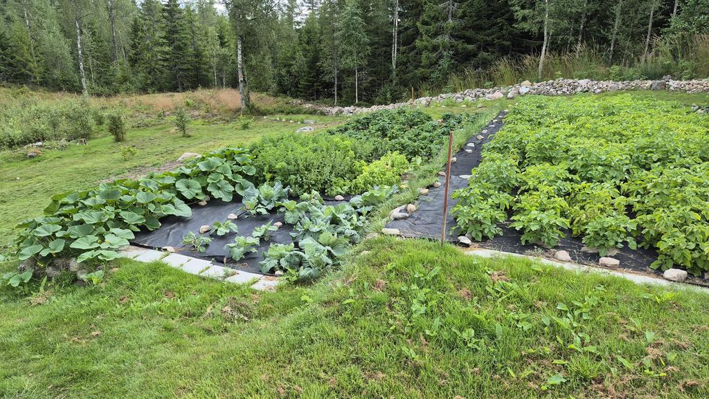 Säljarens egna bild