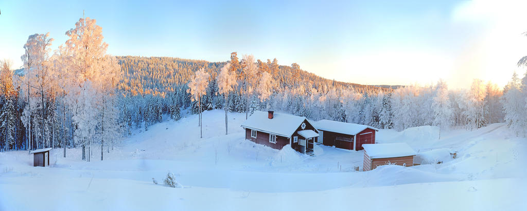 Säljarens egna bild