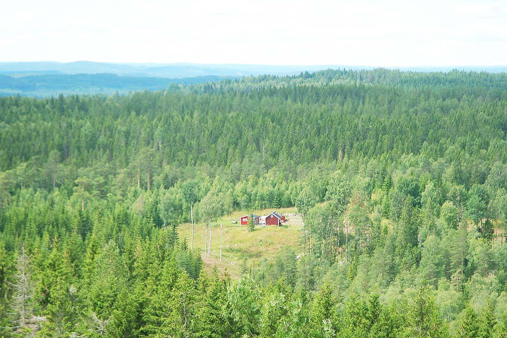 Säljarens egna bild