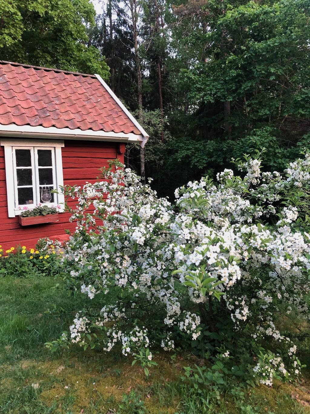 Säljarens privata bild.