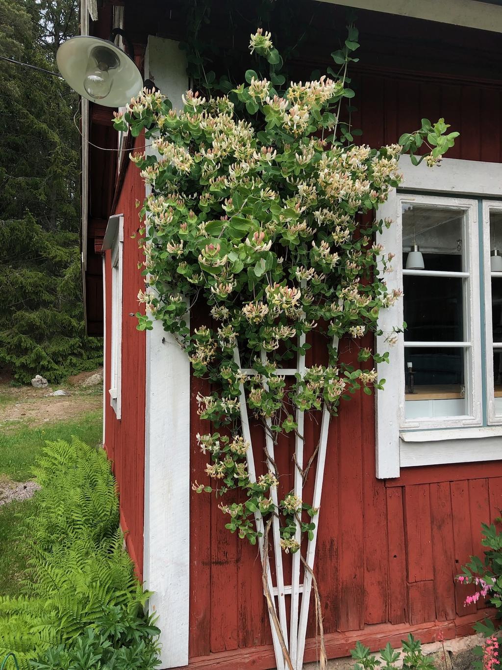 Säljarens privata bild.