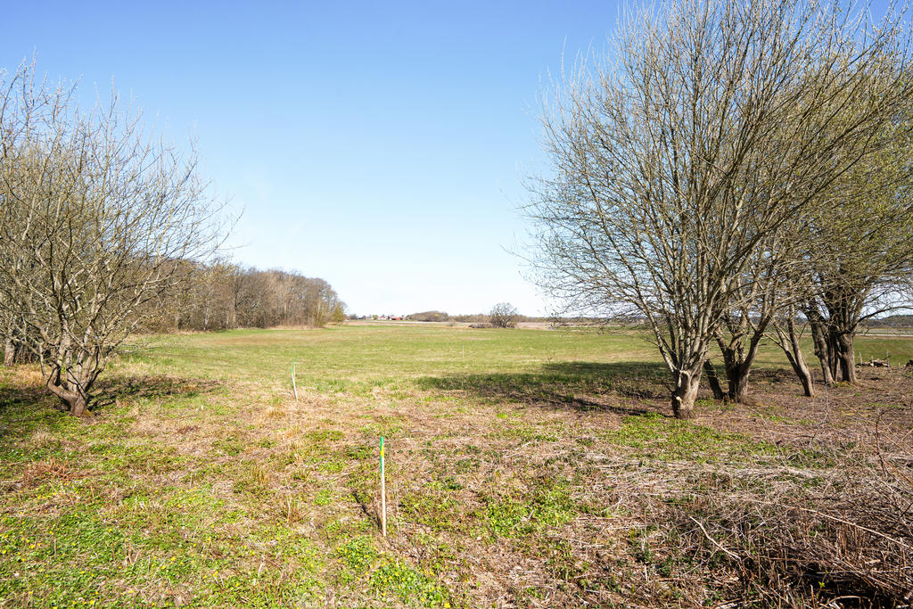 Öppet landskap 