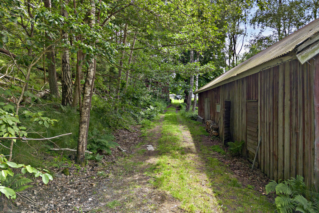 Svensk sommarväg längs ladan