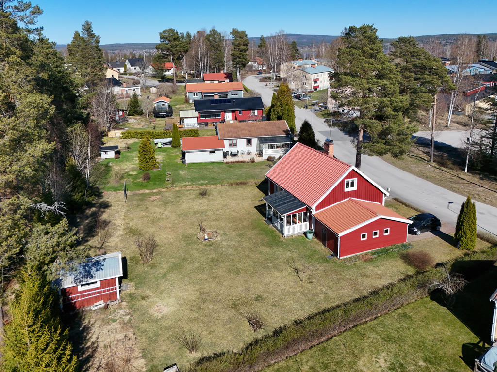 Vy över tomten mot norr. 