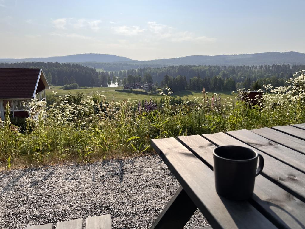Utsikt från Lägenheten