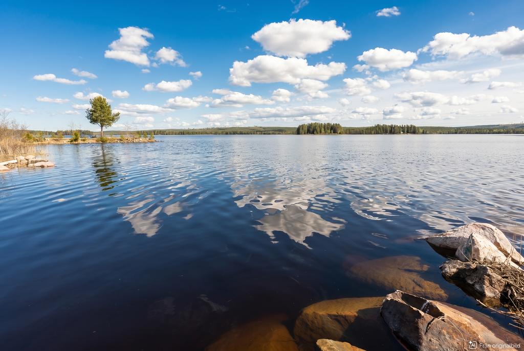 Vy över Nestelsjön 