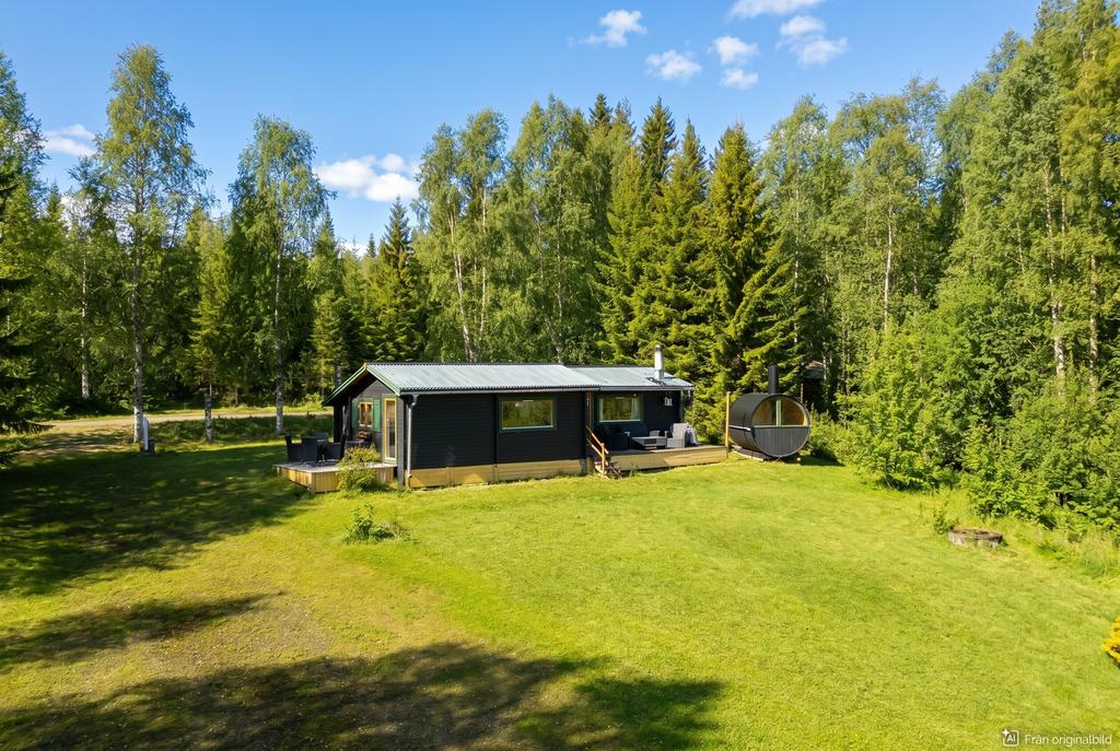 Stor och härlig gräsmatta för lek och spring 