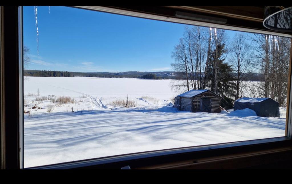 Säljarens egna bild