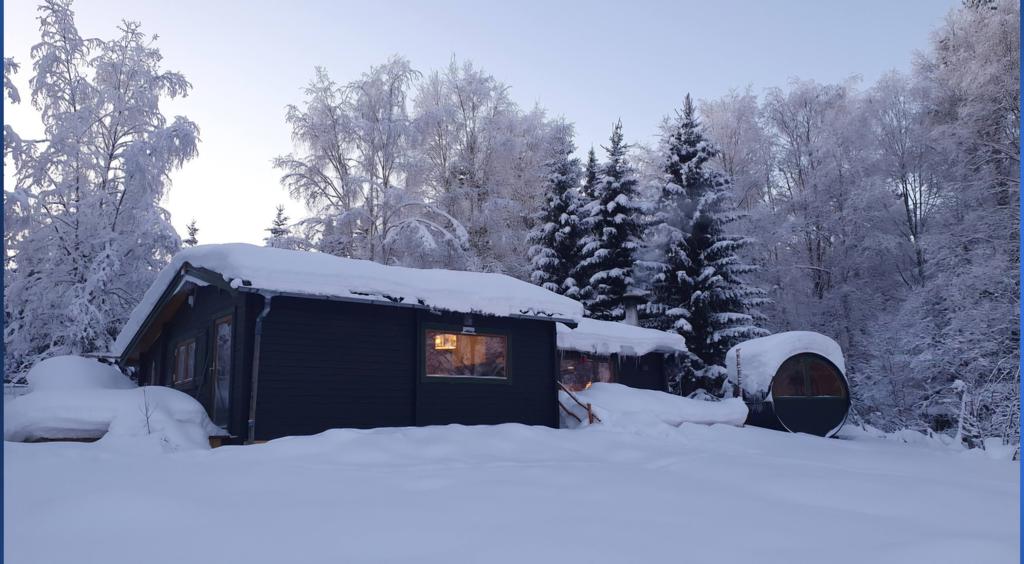 Säljarens egna bild