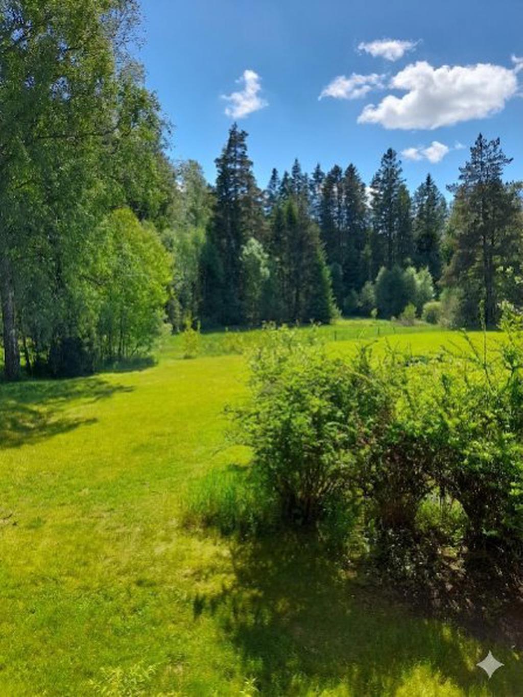 Säljarens egna bilder