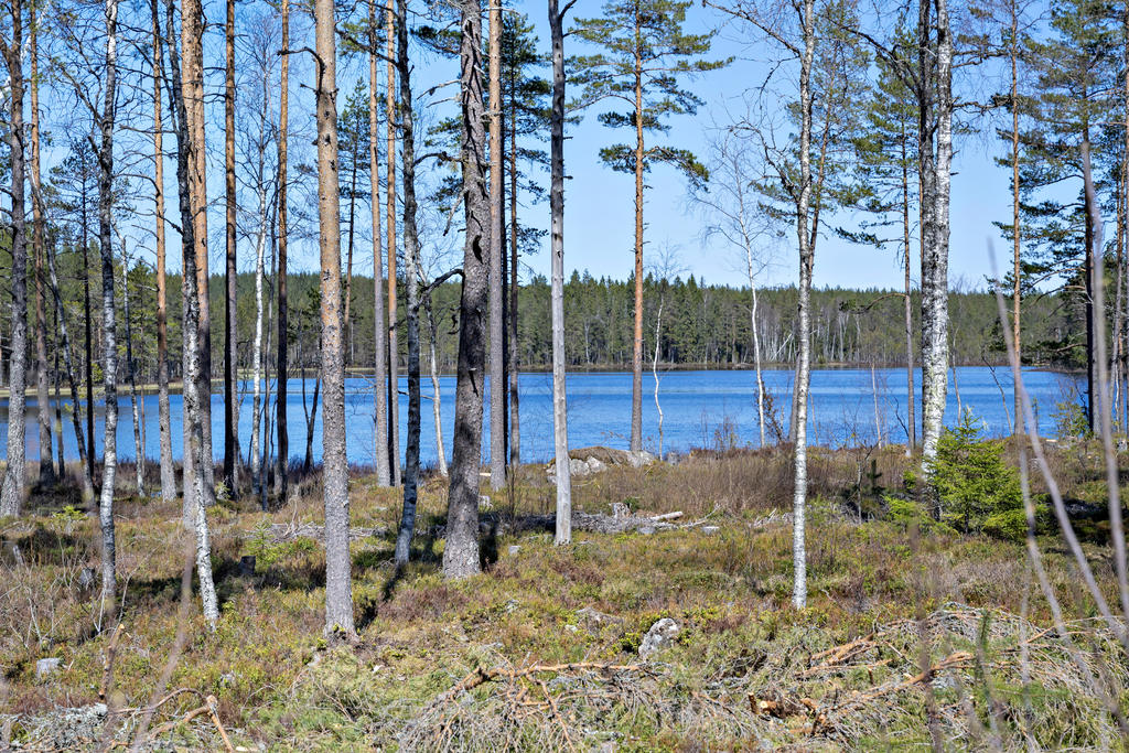 Sjön Stora Risken