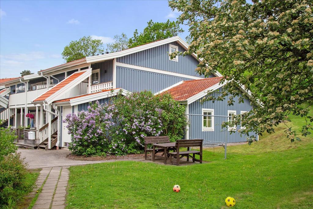 Fina promenadslingor i området