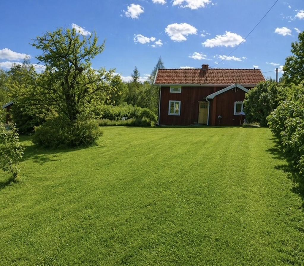 Säljarens sommarbild!