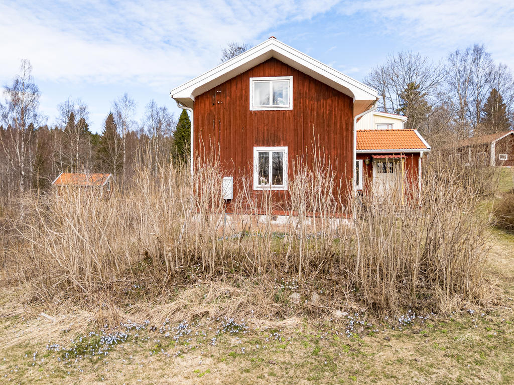 Underbar syrénhäck!