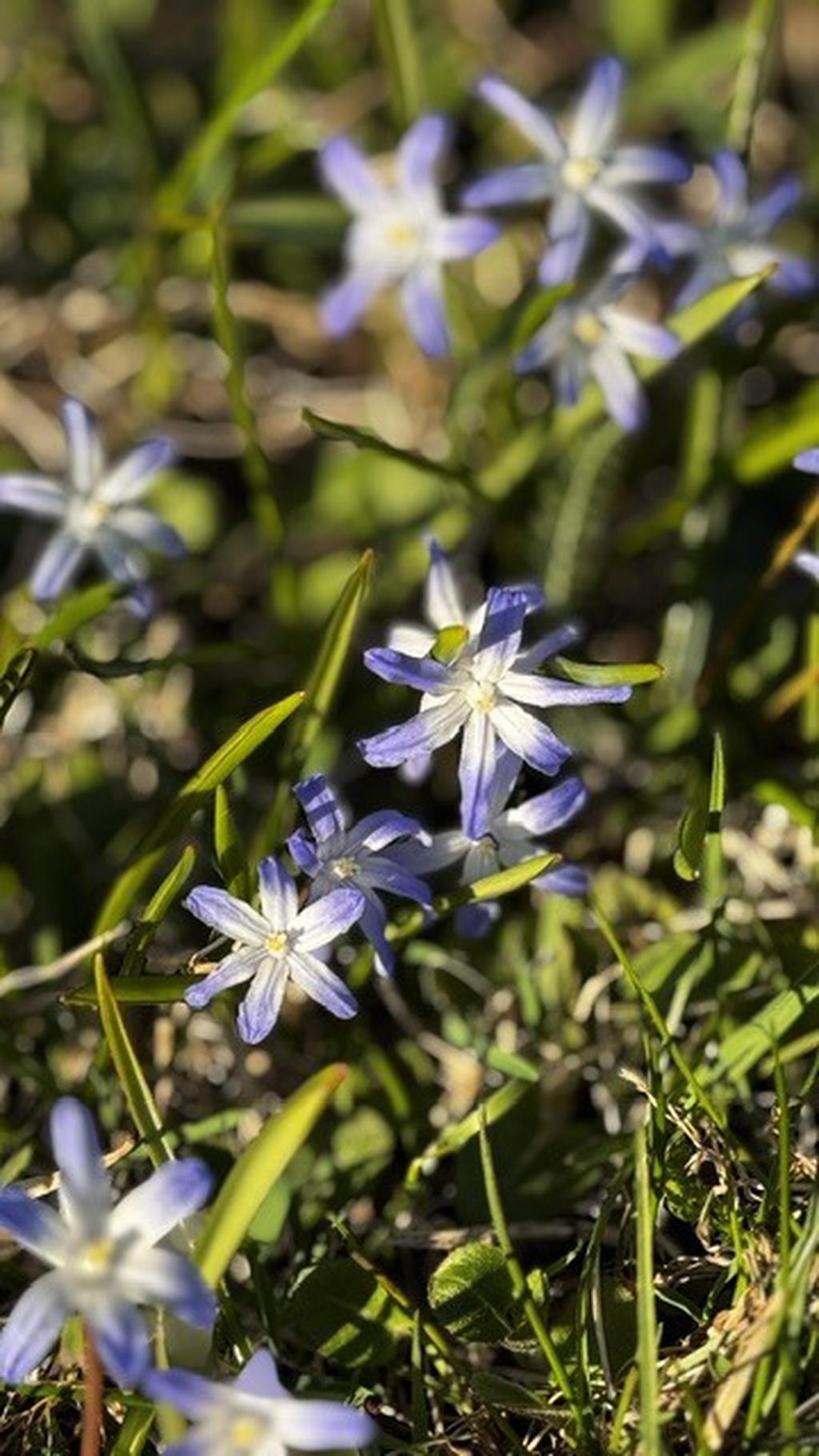 Säljarens sommarbild!