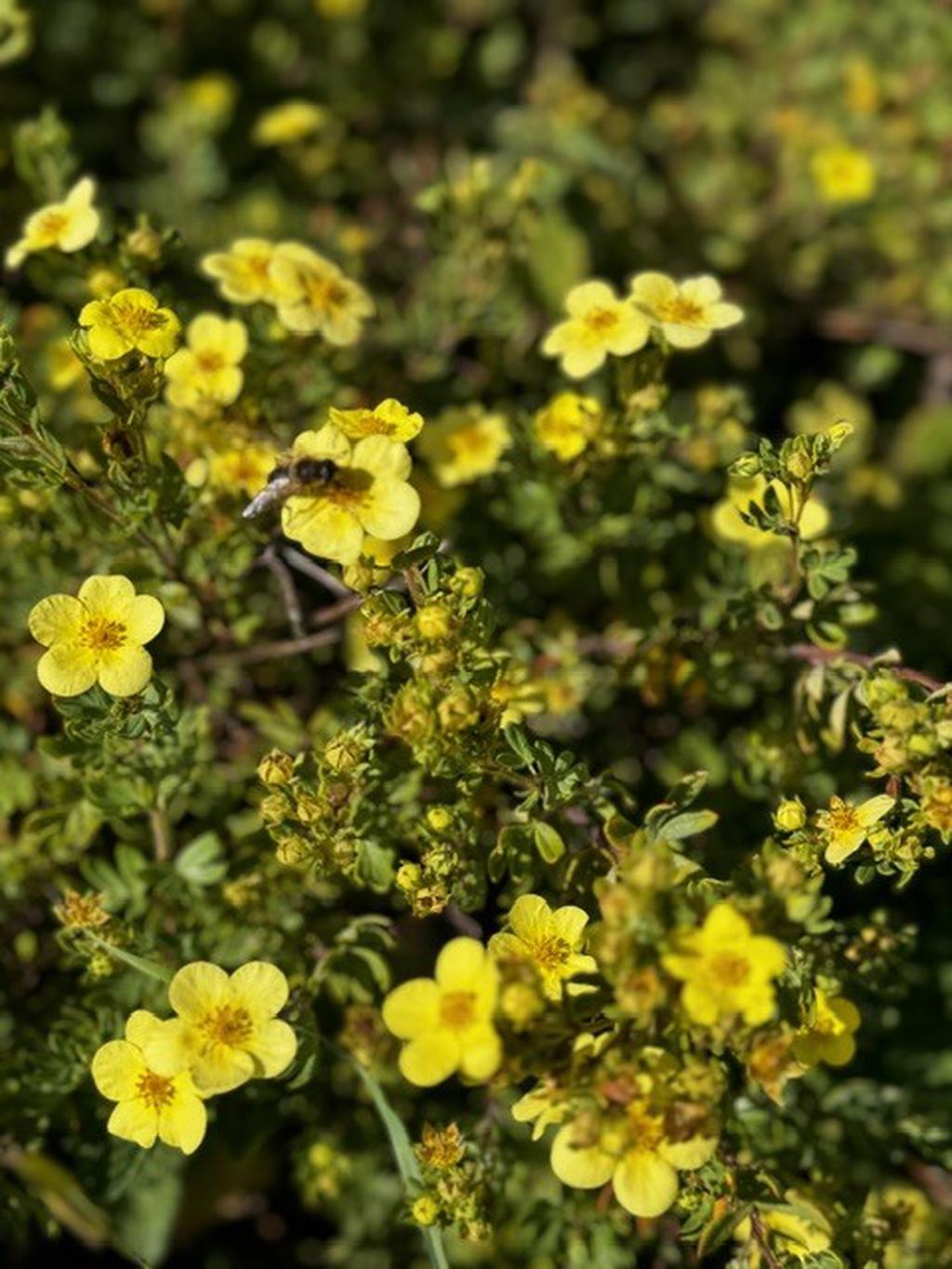 Säljarens sommarbild!