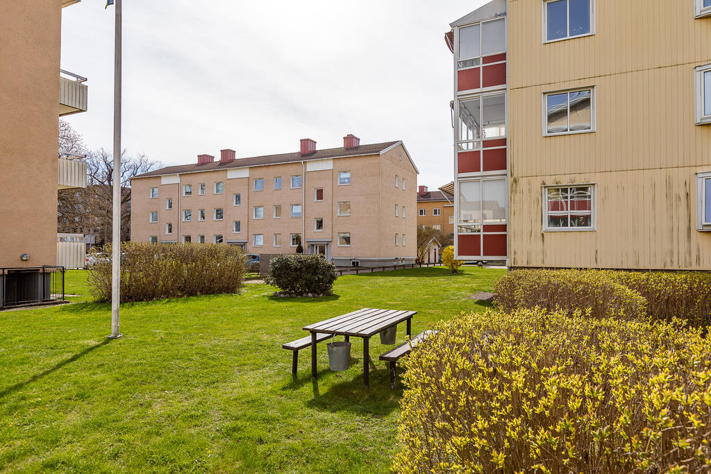 Grön innergård med sittyta