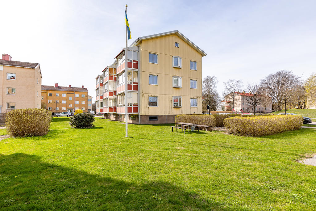Grön innergård med sittyta