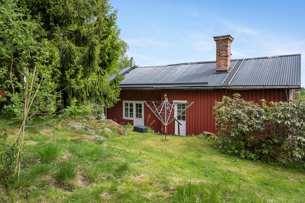 Trädgård