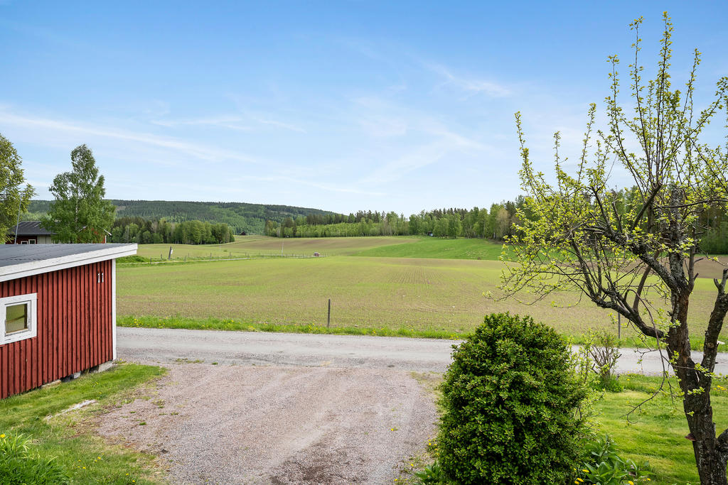 Område