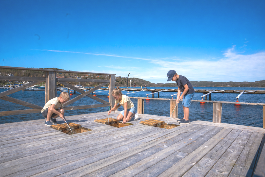 Bästa krabbfiskeställerna gömmer sig under luckor i bryggdäcket