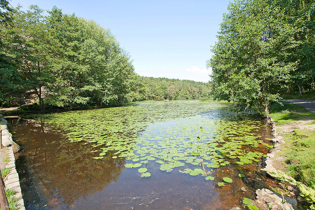 I området finns flera fina grönområden – bland annat Hisingsparken, ett av Göteborgs största parkområden, bara en kort promenad från bostaden.