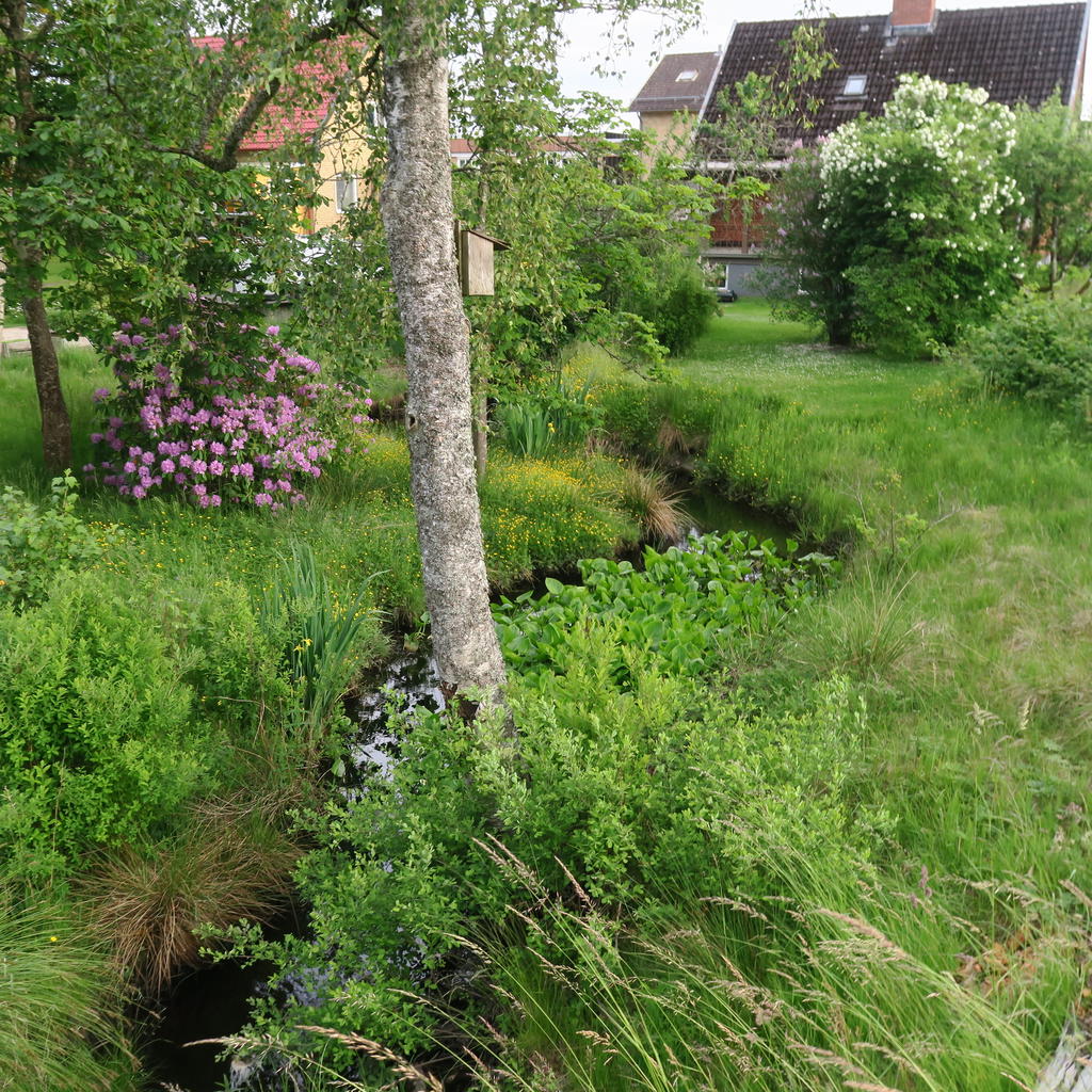 Säljarens egna bild