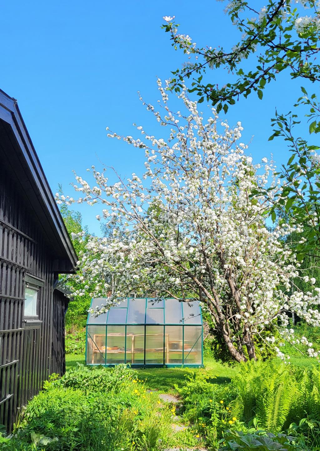 Säljarens egna bild