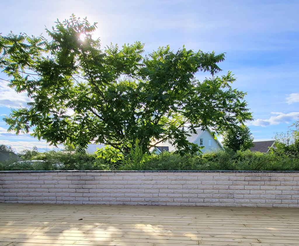 Säljarens egna bild