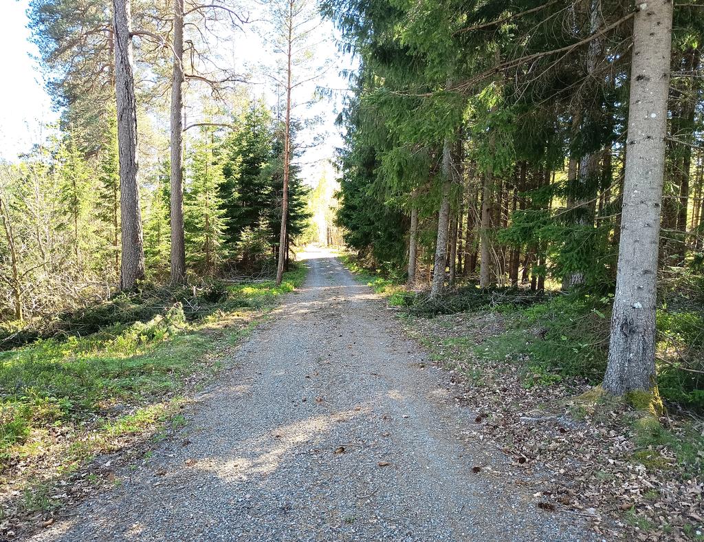 Huset är belägen på en stillsam skogsväg. Här är platserna att finna avkoppling många. 