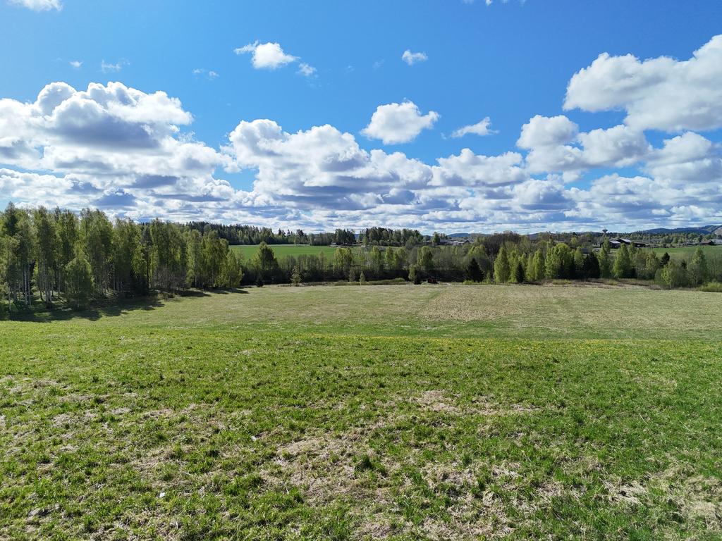 Vyn över omgivningarna.