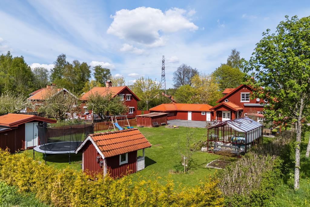 Vy över tomten. 