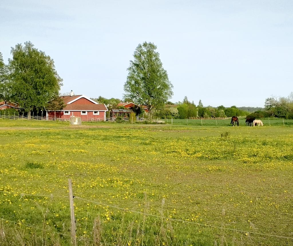 Säljarens egna bilder.