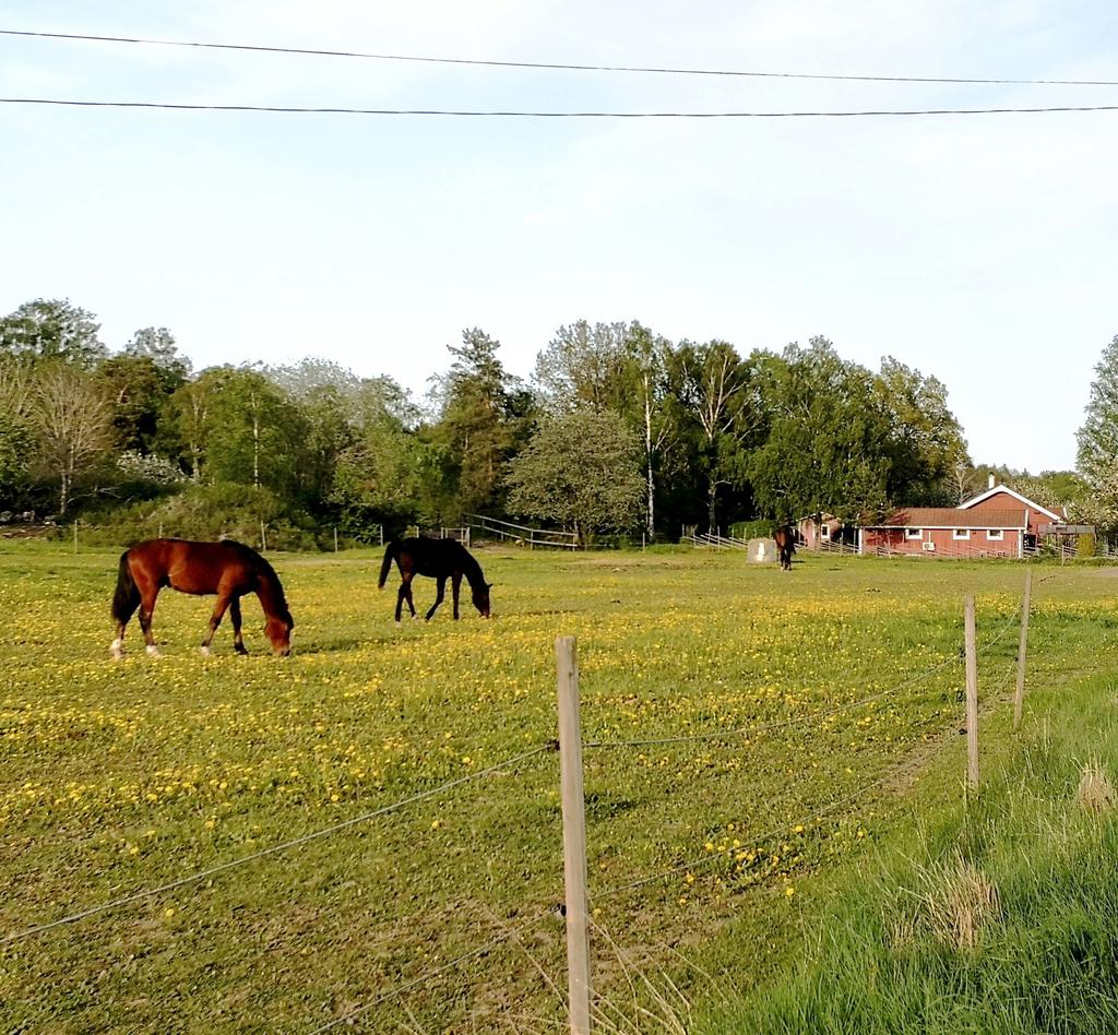 Säljarens egna bilder.
