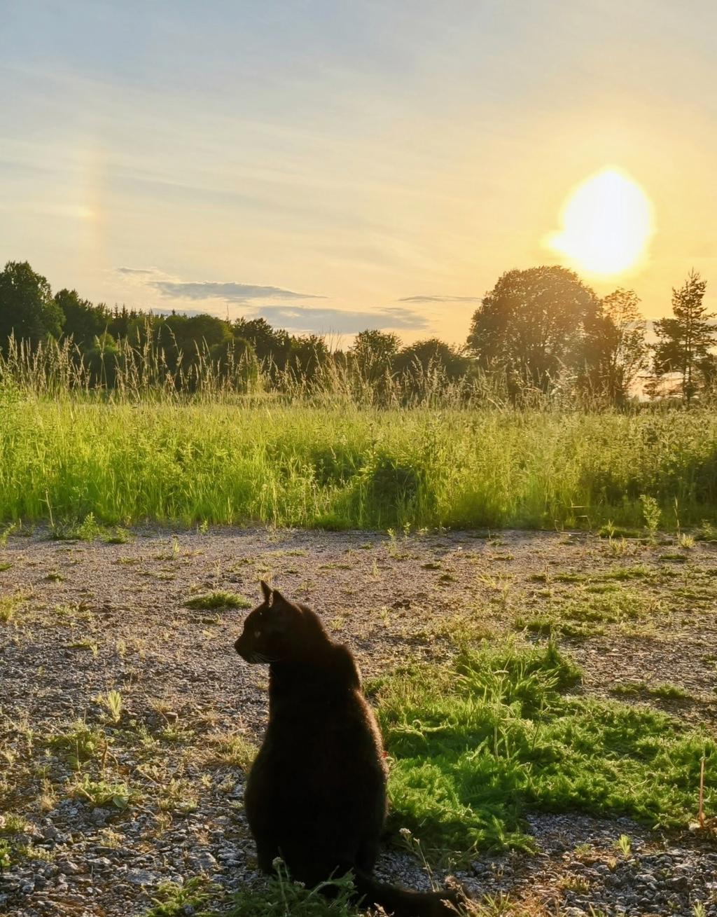 Säljarens egna bilder.
