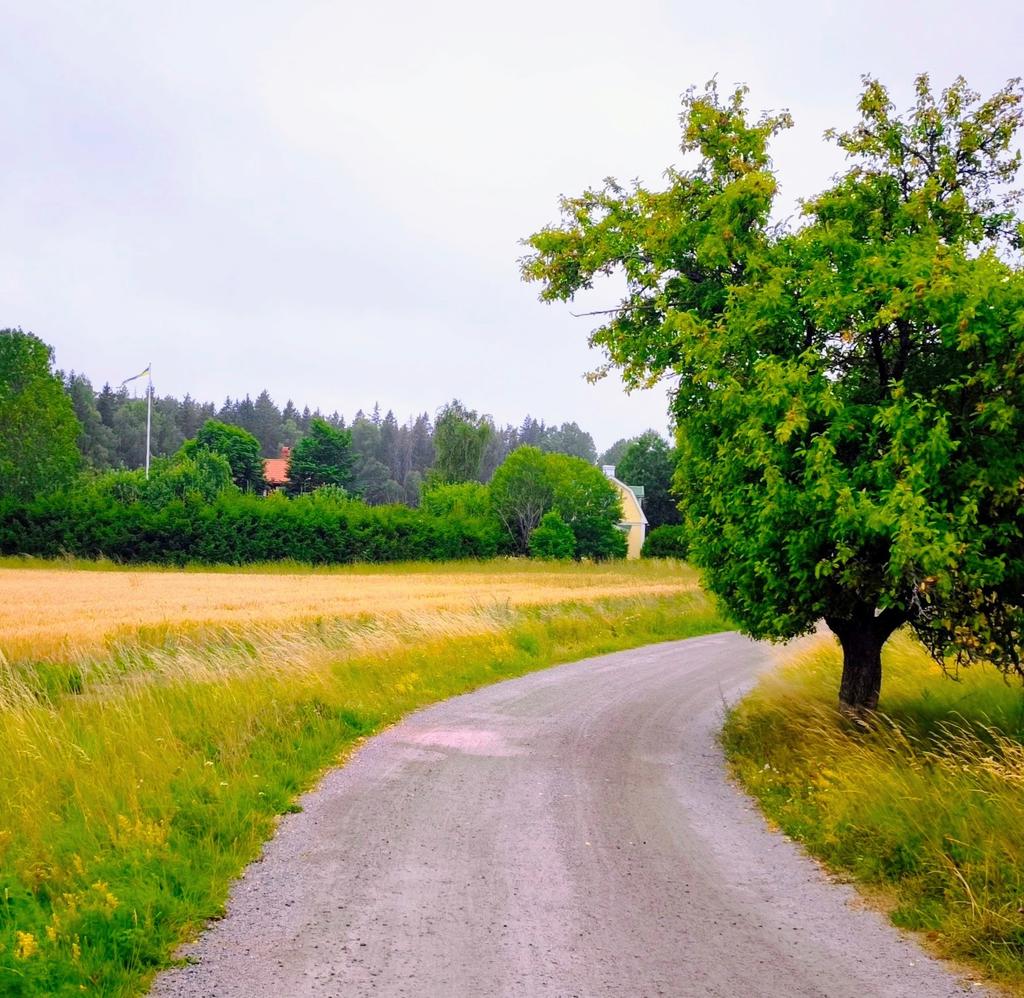 Säljarens egna bild.