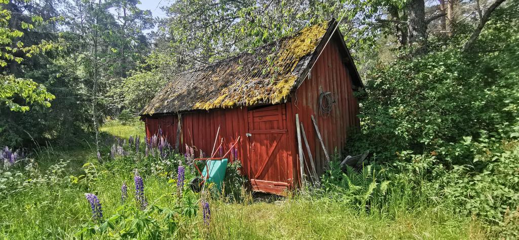 Vedförråd samt utedass