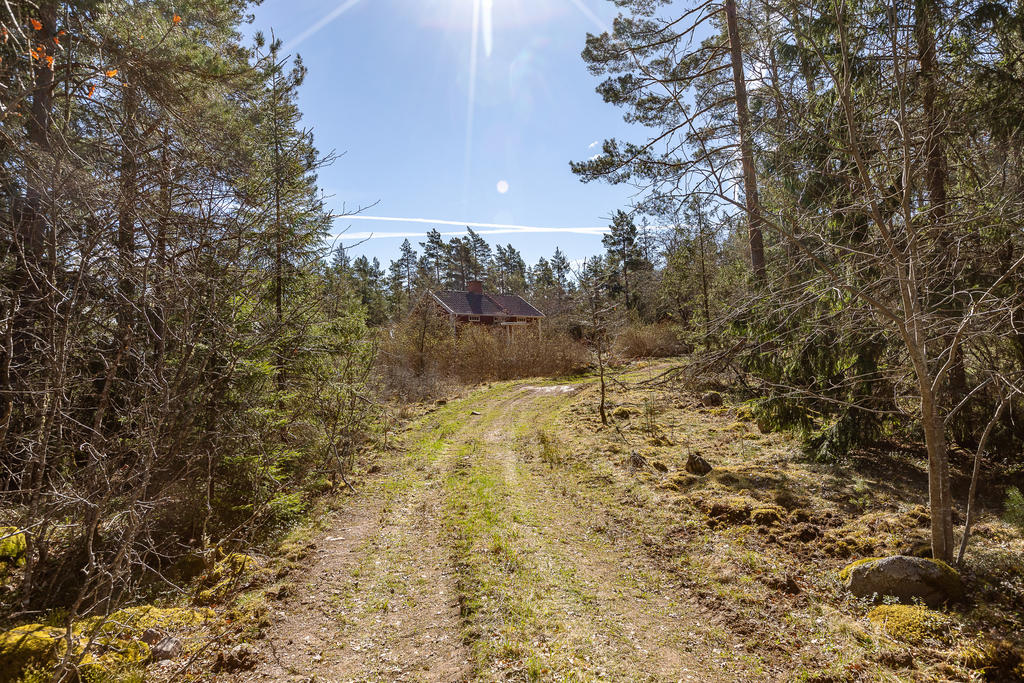 Skogsväg med plats att parkera och ta sig upp och tillbaka till bilvägen